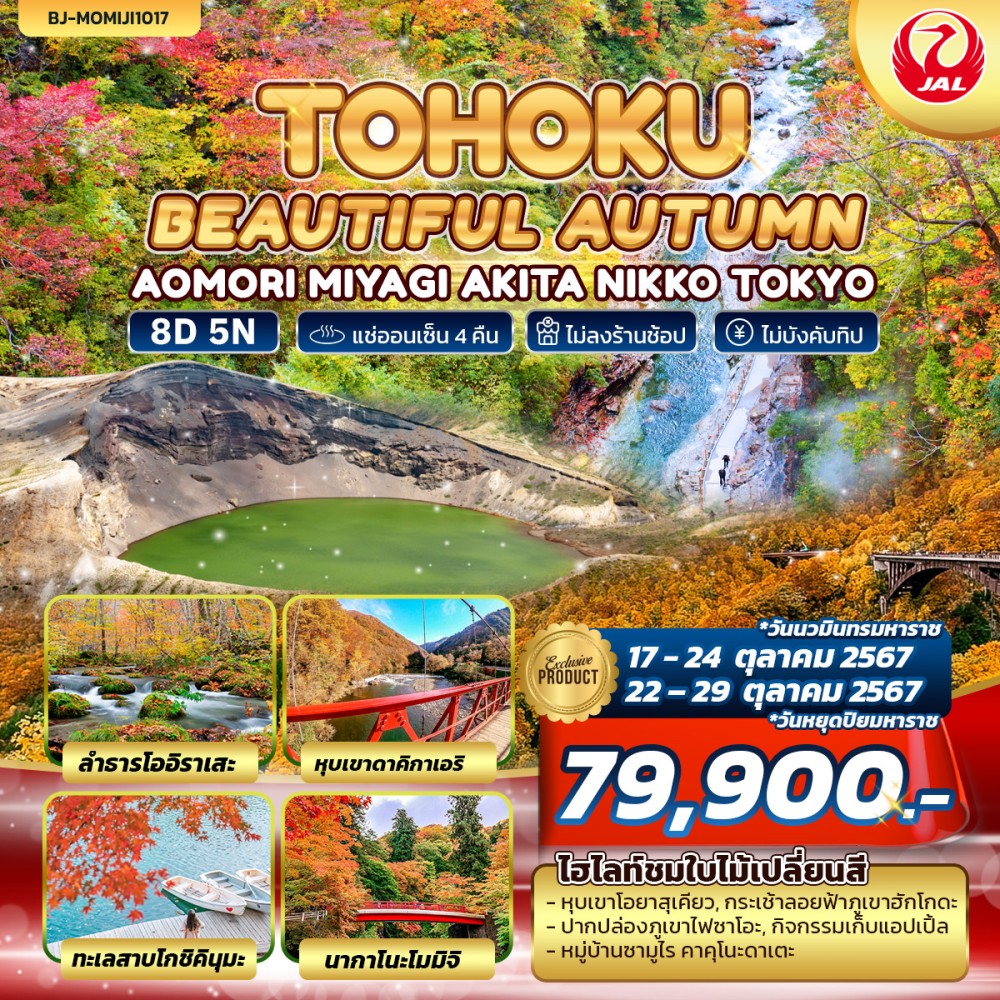 ทัวร์ญี่ปุ่น TOHOKU BEAUTIFUL AUTUMN 8วัน 5คืน (JL)